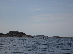 DSC03098